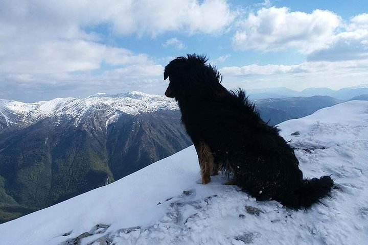 Snowshoeing at Olympic Mountains - Private Tour - Photo 1 of 6